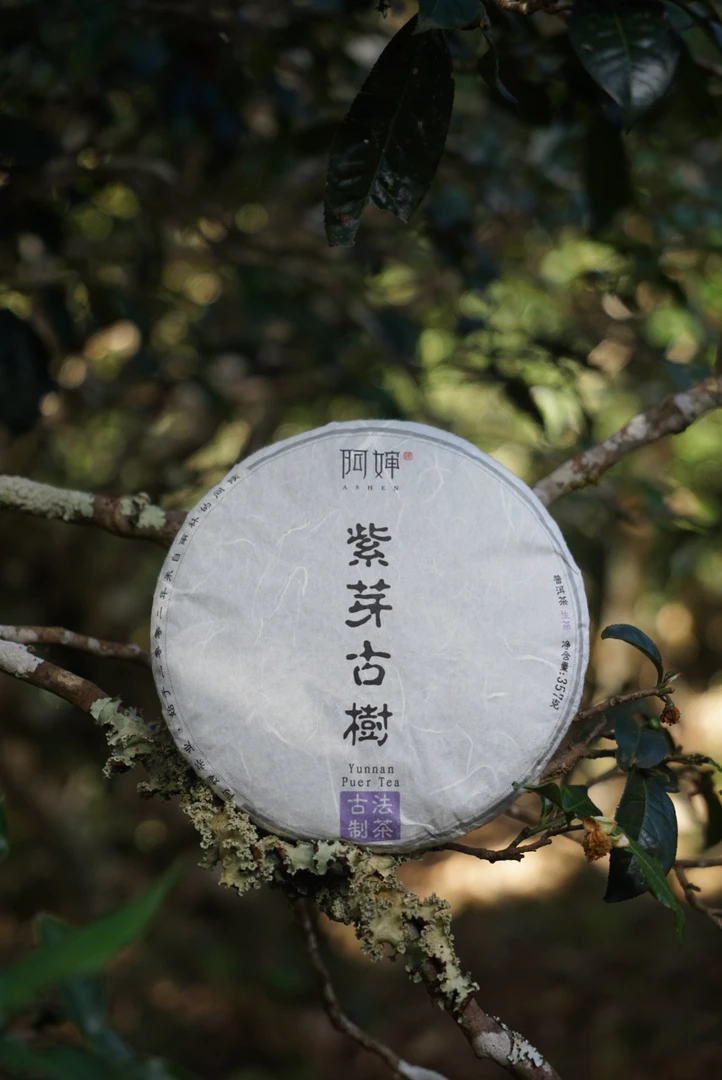【阿婶 紫芽古树生茶】2022春