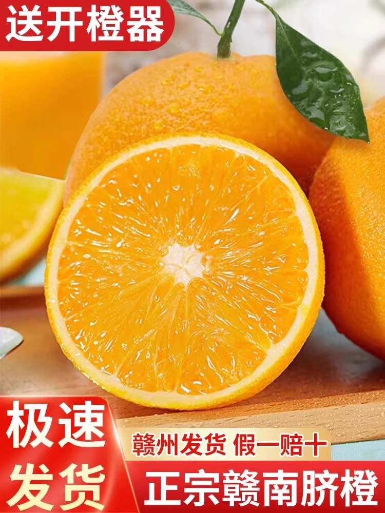 江西正宗赣南脐橙当季新鲜现摘孕妇水果赣州自家果园采摘产地直发