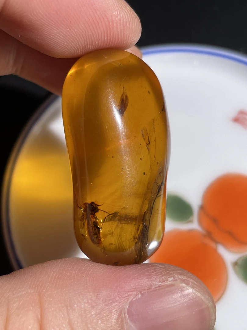 天然缅甸虫珀飞虫个头超大9.2g 37.4×24.9×17.3mm