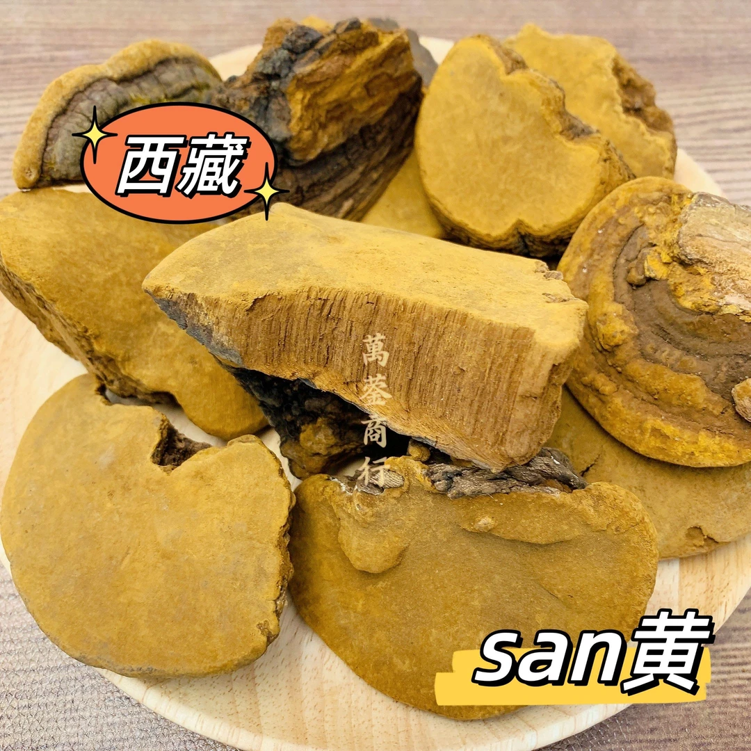 W【莹莹精选】西藏桑黄 煮水煲汤料