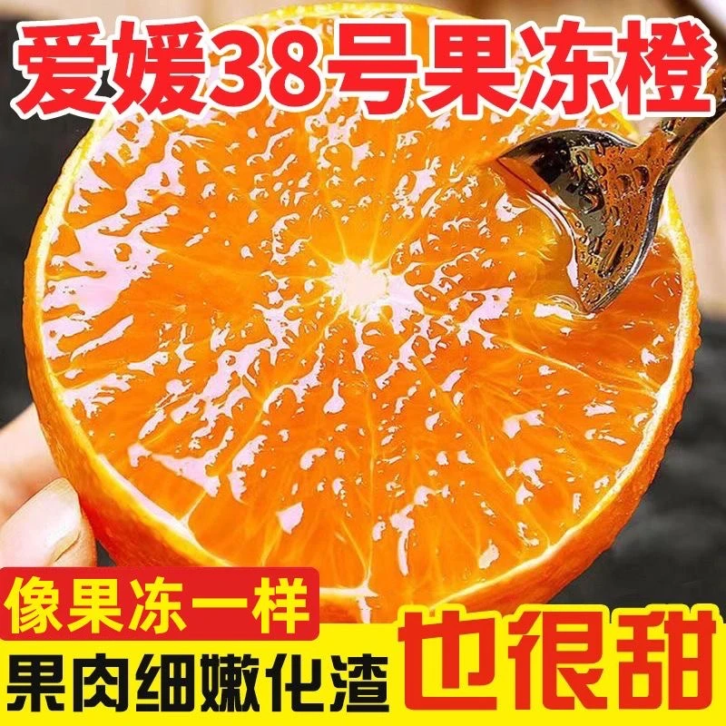 正宗爱媛38号果冻橙四川当季新鲜水果整箱纯手剥榨汁专用大橙子C
