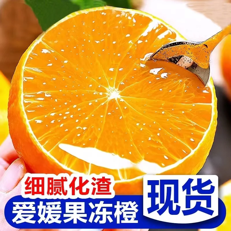 现摘现发四川眉山爱媛果冻橙4.5-5斤当季新鲜手剥橙子香甜爆汁
