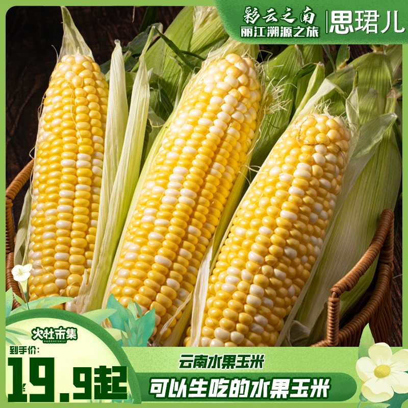 【火社专属】云南水果玉米5-8斤装现摘嫩玉米甜生吃甜玉米鲜嫩包邮