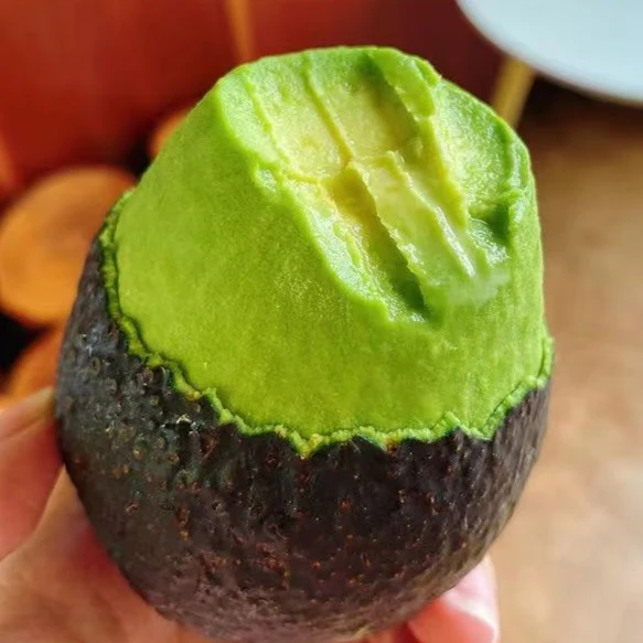 【放软食用】云南哈斯牛油果8枚130-160g催熟再吃新鲜孕妈水果辅食