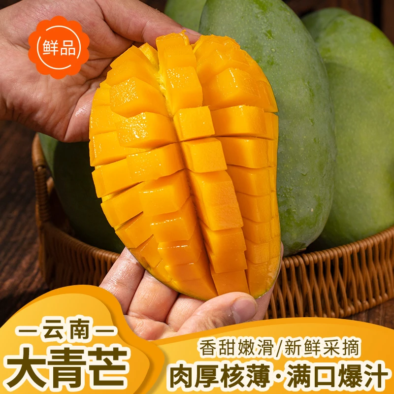 【邮政助农补贴】云南大青芒新鲜芒果生熟可食 香甜鲜美5/8斤装
