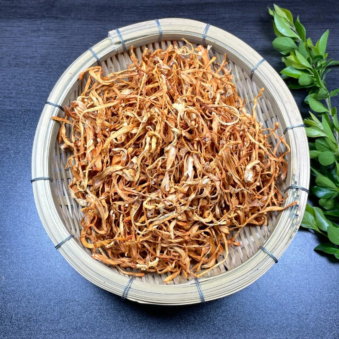 虫草花滇西珍选食用农产品食品1g送礼山货