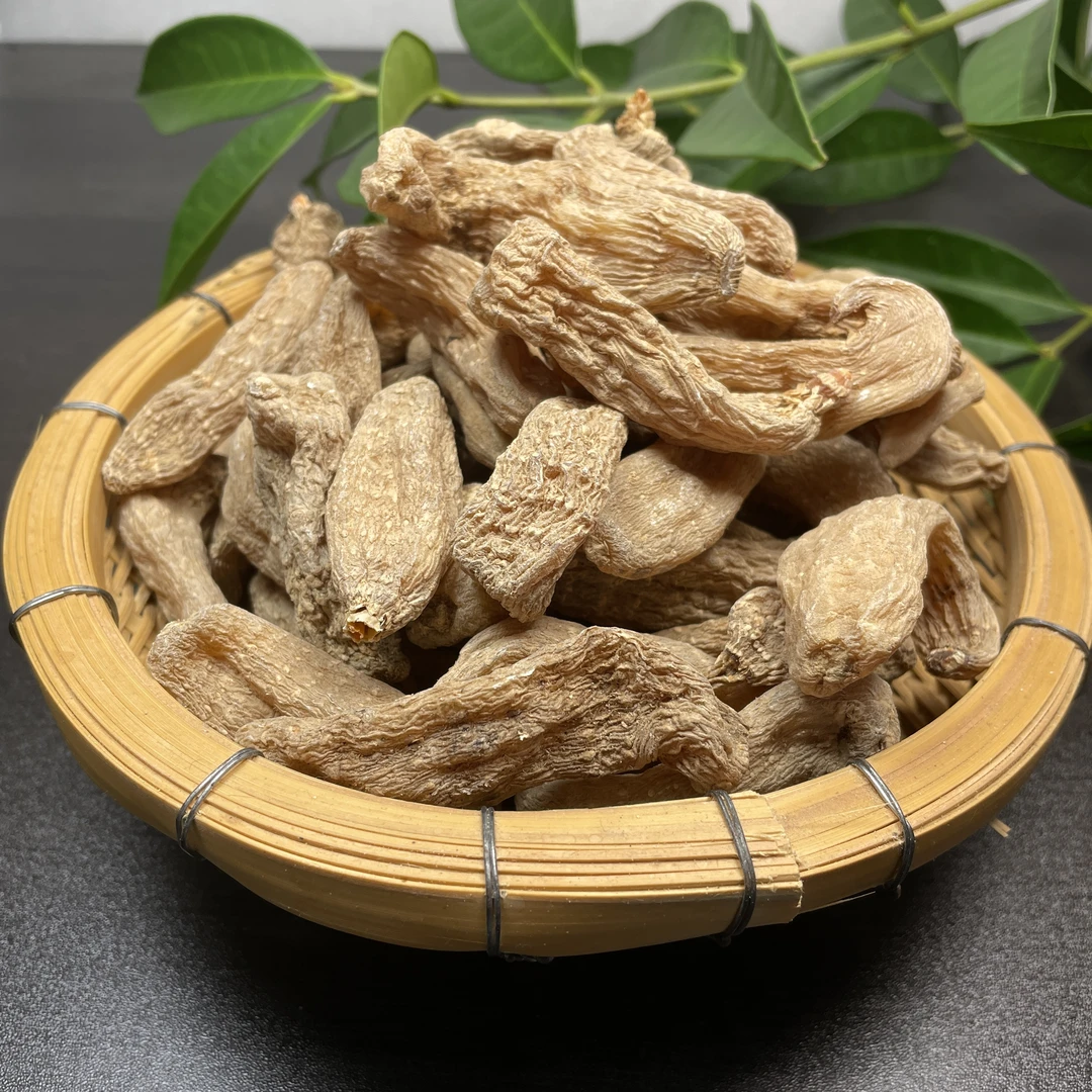 红芽天嘛菌滇西珍选山货
