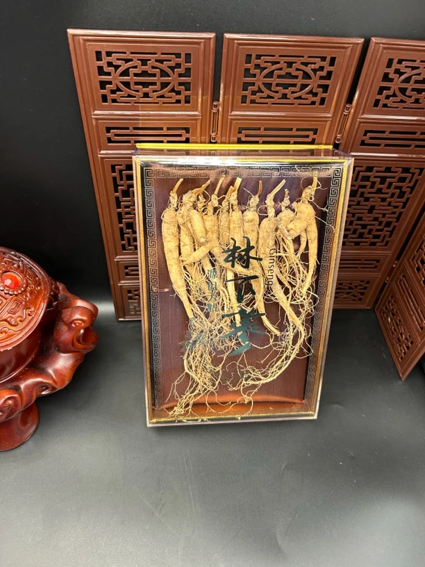 高年头林下参高档 送人泡酒佳品