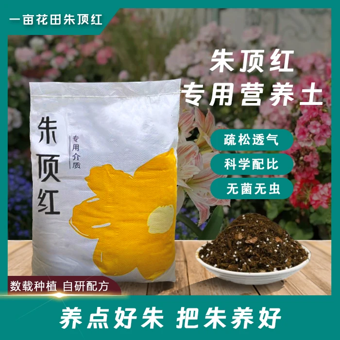 【一亩花田】朱顶红专用营养土(1单包邮)