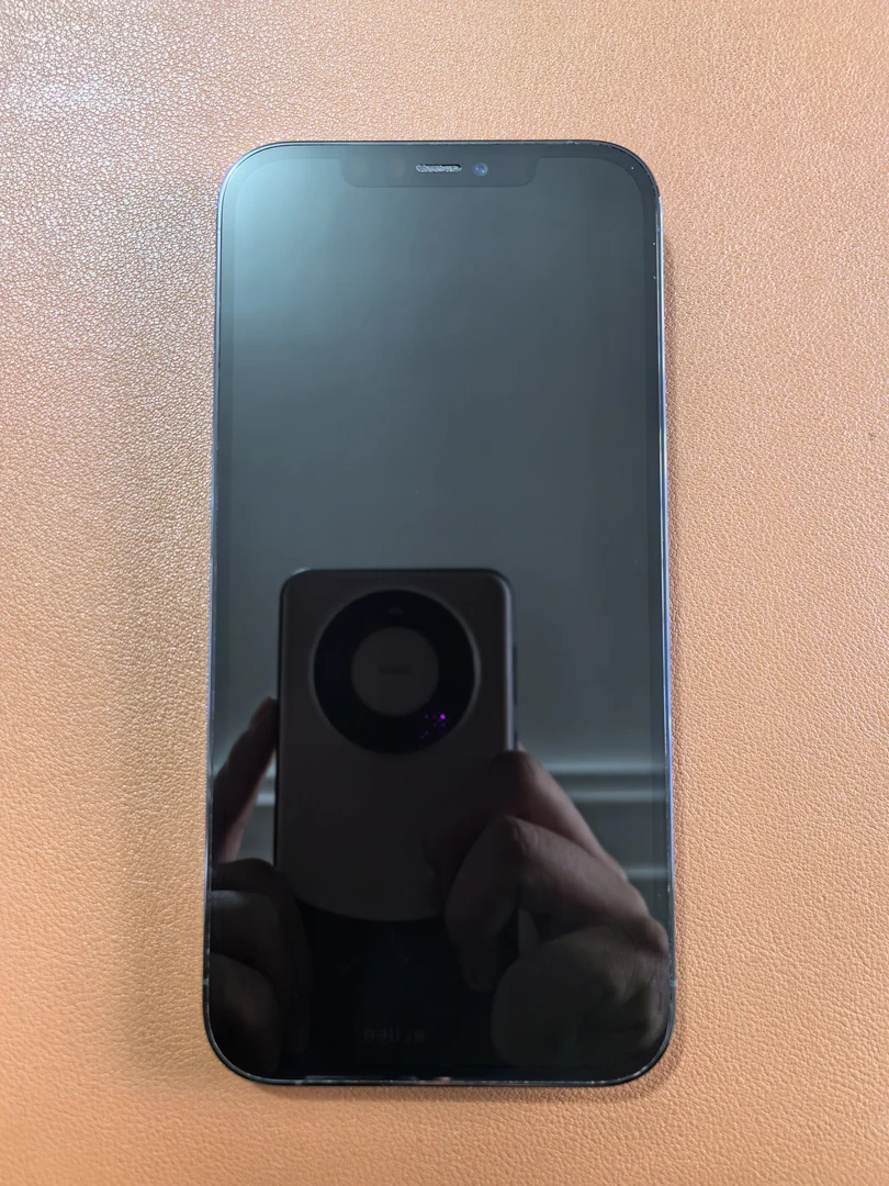 99新 Apple/苹果 二手iPhone12ProMax蓝色