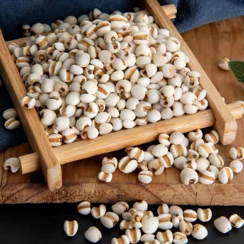 精选薏米仁【百干】