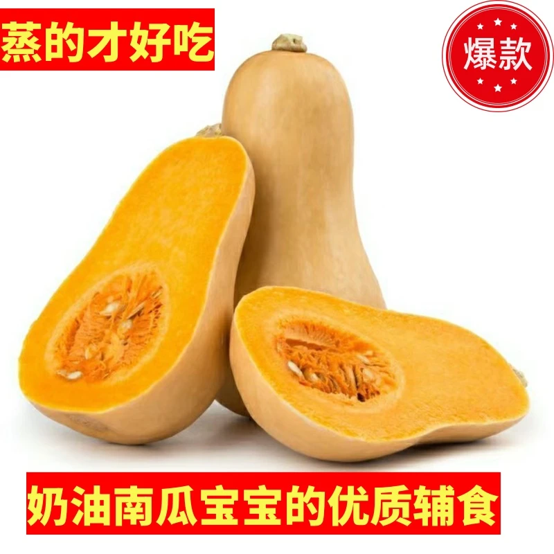 正宗奶油南瓜粉糯香甜 宝宝的优质辅食 老人的健康粗粮带箱5/斤
