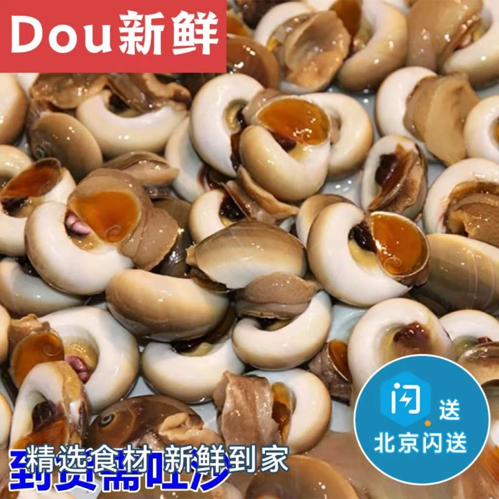 500g 鲜活大香螺 海鲜水产 玉螺 猫眼螺 肚脐螺 新鲜