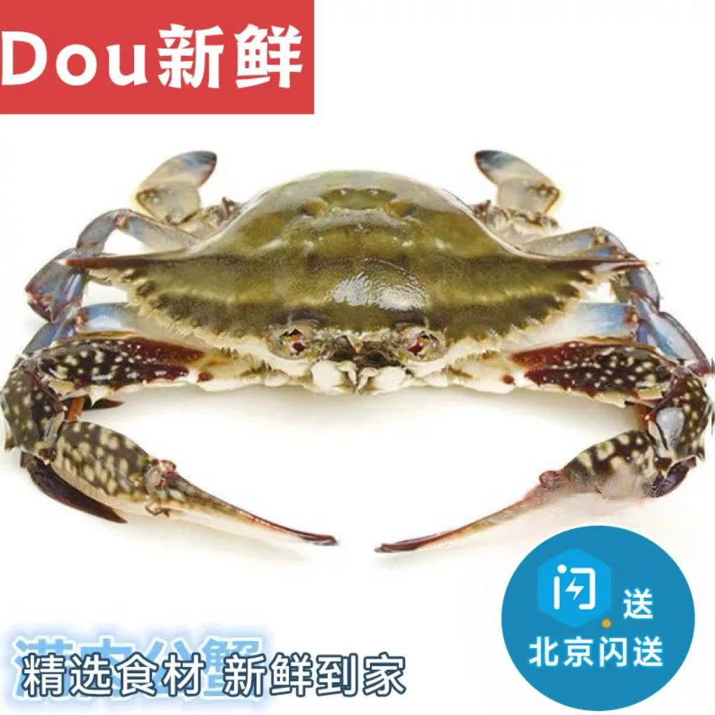 【推荐】5-7两/只  满肉 公梭子蟹 螃蟹 海蟹 海鲜水产 飞蟹