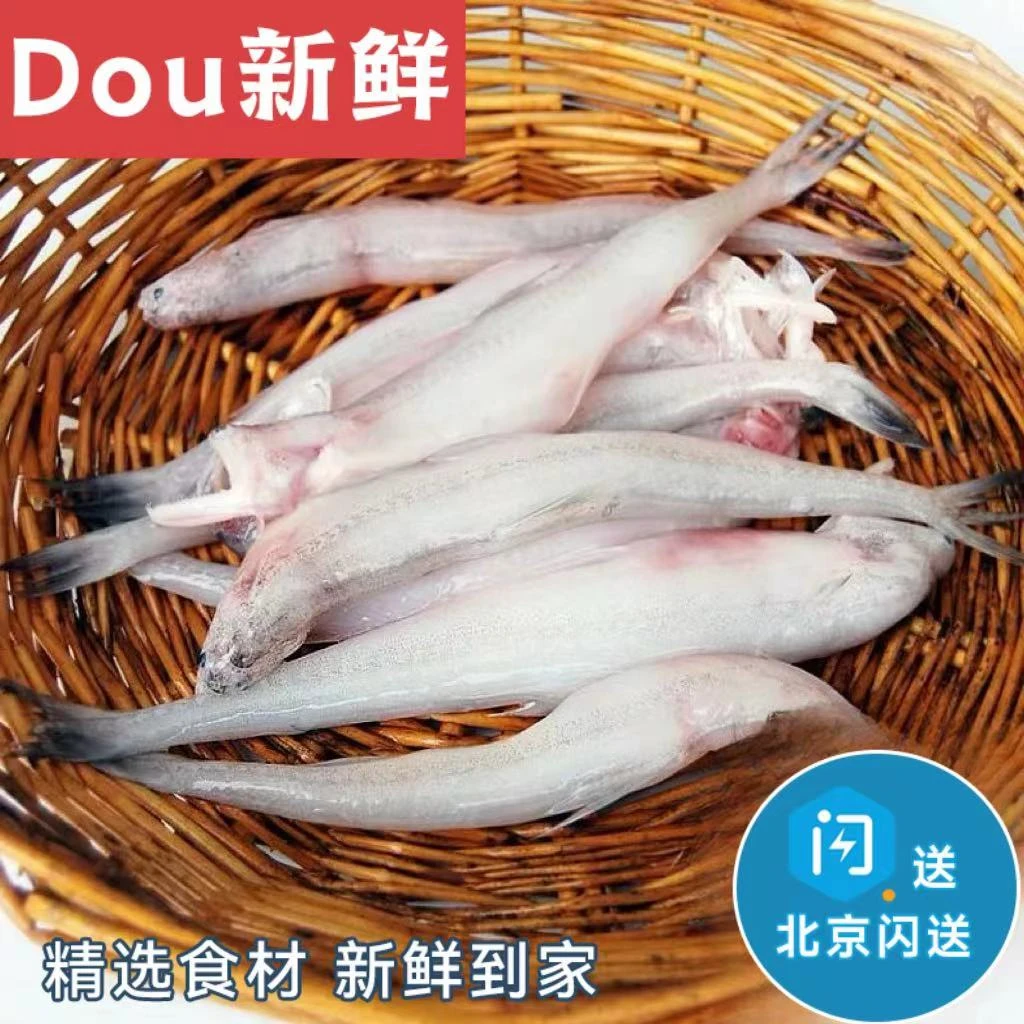 500g 冰鲜 豆腐鱼 新鲜龙头鱼 海鲜 九肚鱼 水产
