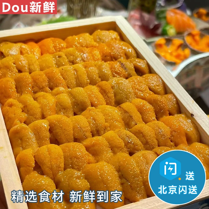 仅限北京闪送 马胆80g 马粪胆 鲜活现剥冰鲜海胆黄刺身 即食大连海胆