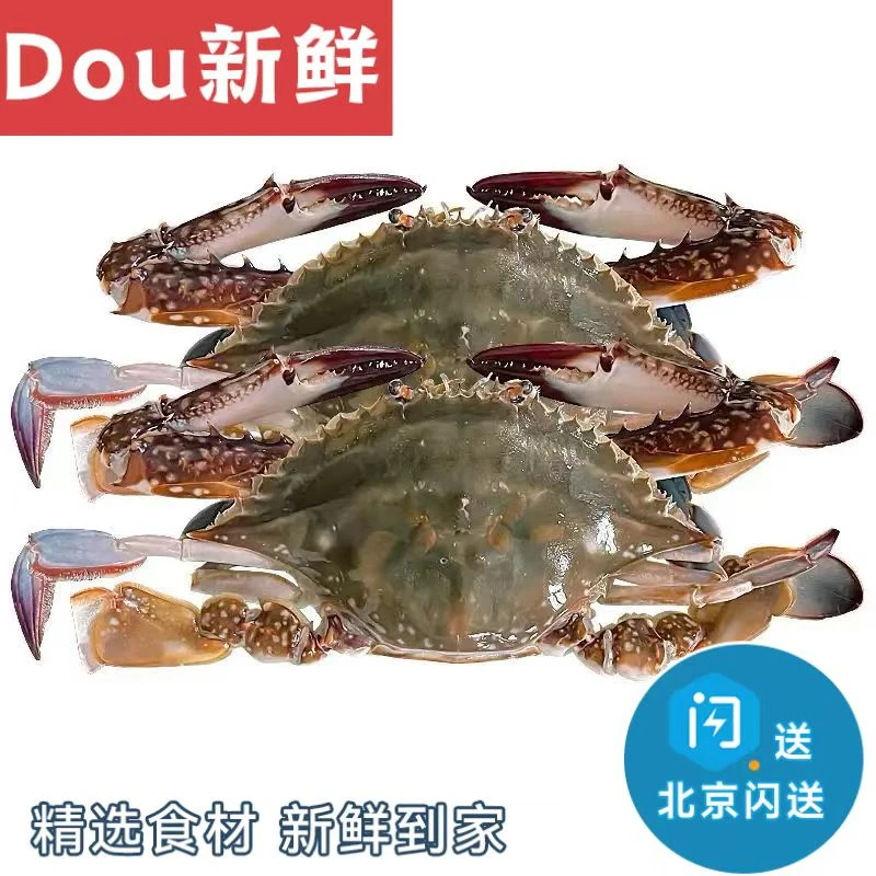 【鲜活】3斤 梭子蟹  5-6两左右  4-6只 鲜活海鲜 海蟹 飞蟹【保鲜不保活】