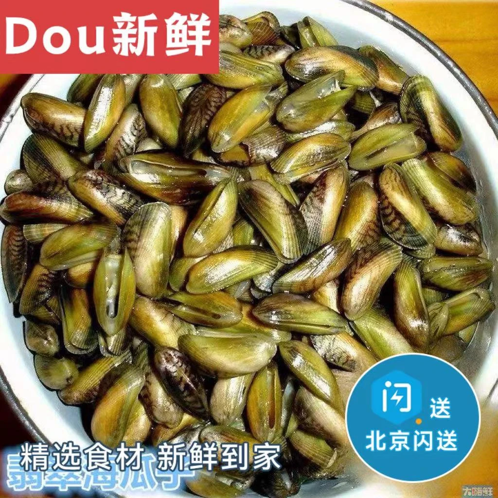 500g 鲜活薄壳 海瓜子海鲜贝类 新鲜潮汕特产 水产