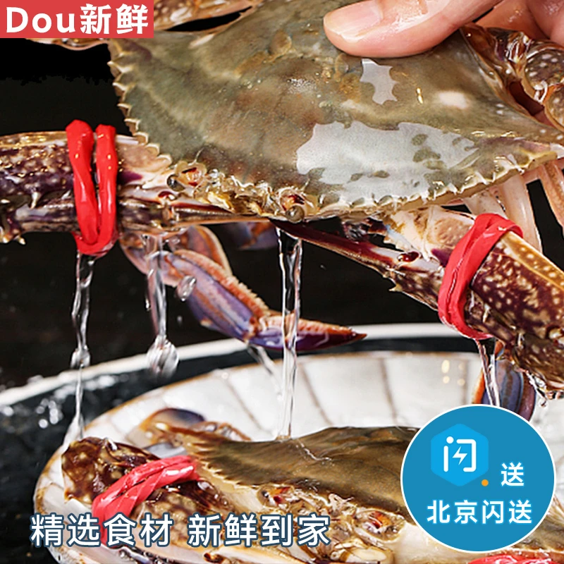 【推荐】3斤 残蟹梭子蟹  梭子蟹 飞蟹 海蟹 螃蟹 海鲜水产