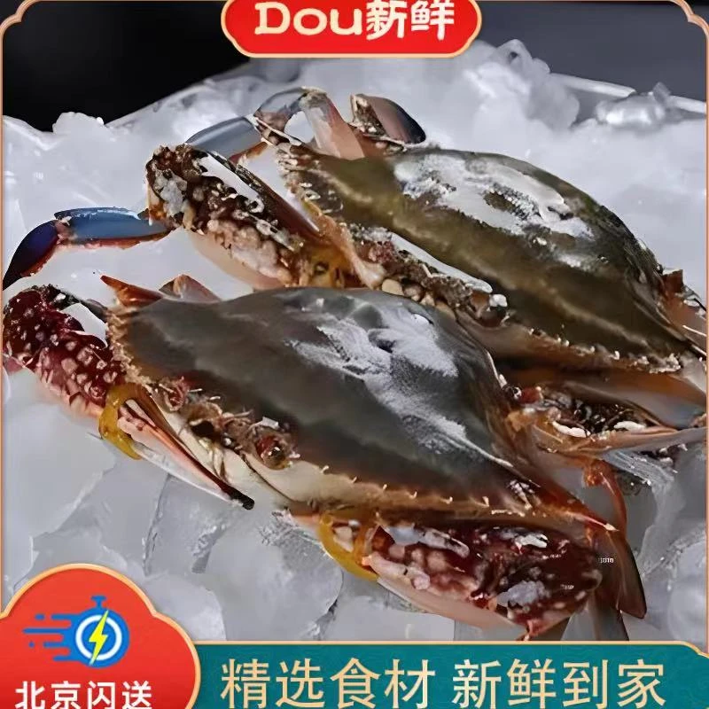 【鲜活】2斤掉脚脚蟹  3-5只 5-6两左右 梭子蟹  【冻蟹】