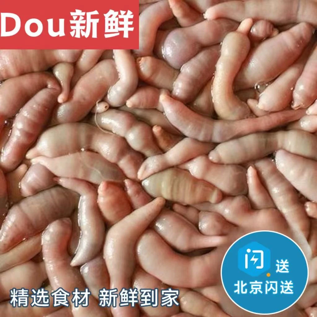 4-6条1份 北京闪送 鲜活海肠 新鲜海鲜 水产