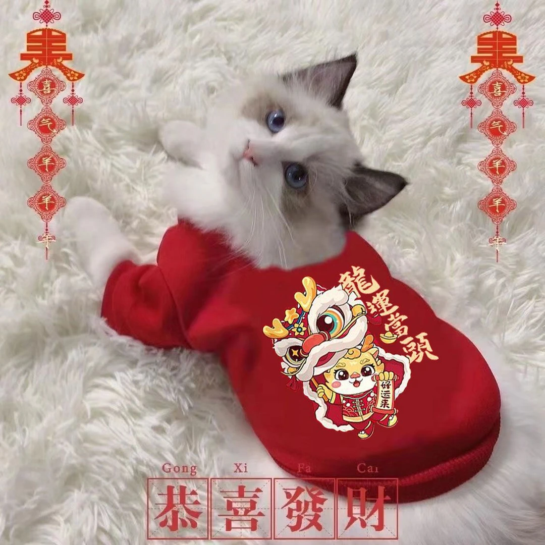猫咪狗狗衣服秋冬季防掉毛布偶猫衣服宠物衣背心小猫衣服马甲防冻