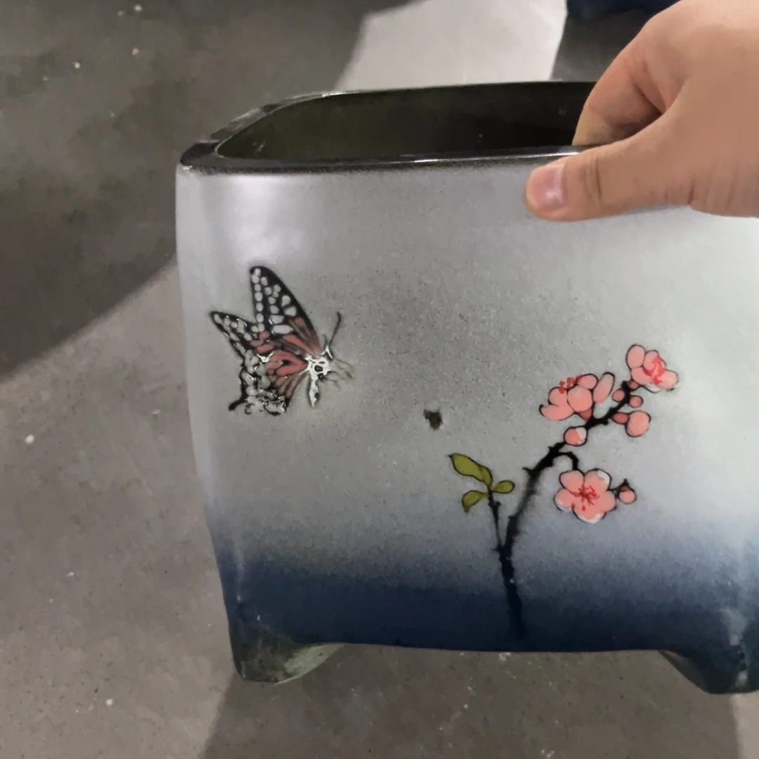 望**界z y w s w w w q y w y