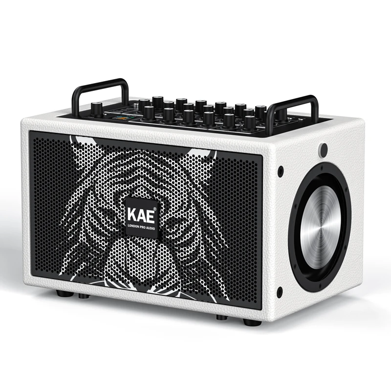 KAE-M5数字无损立体声专业直播音响便携手提大功率乐器弹唱音箱