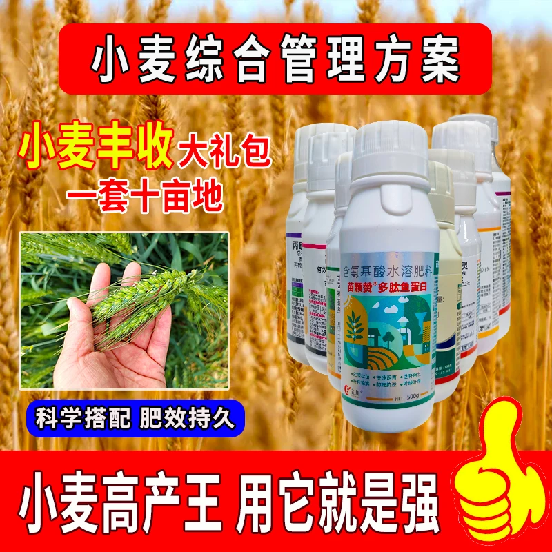 小麦综合管理方案大幅度增产增收一套十亩地蔬菜作物也能用