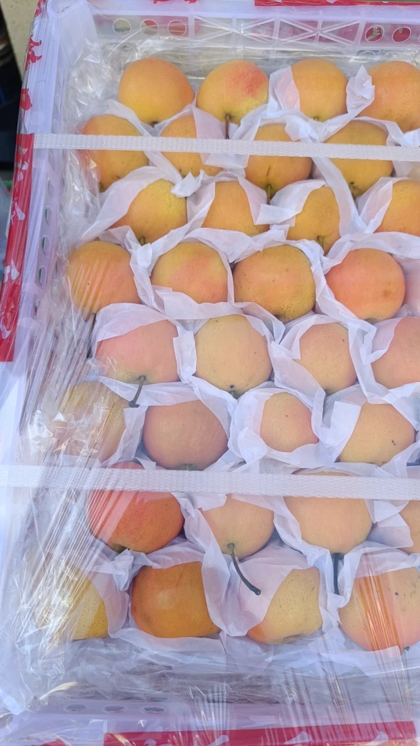 东北特产，南果梨，4.8一斤