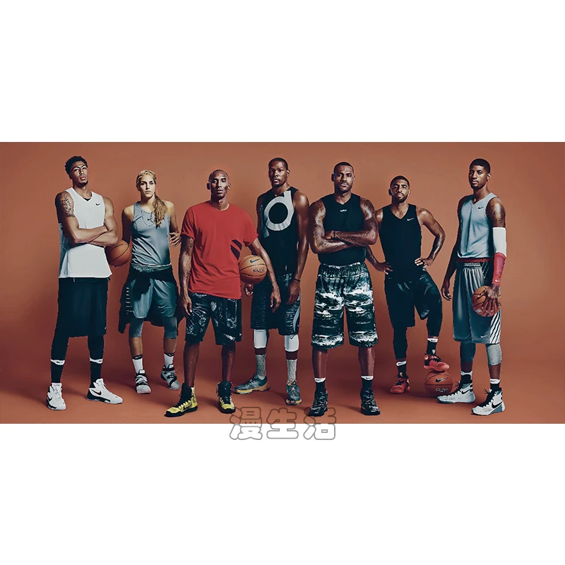NBA詹欧眉杜50*100高清壁纸装饰画客厅卧室玄关晶瓷画