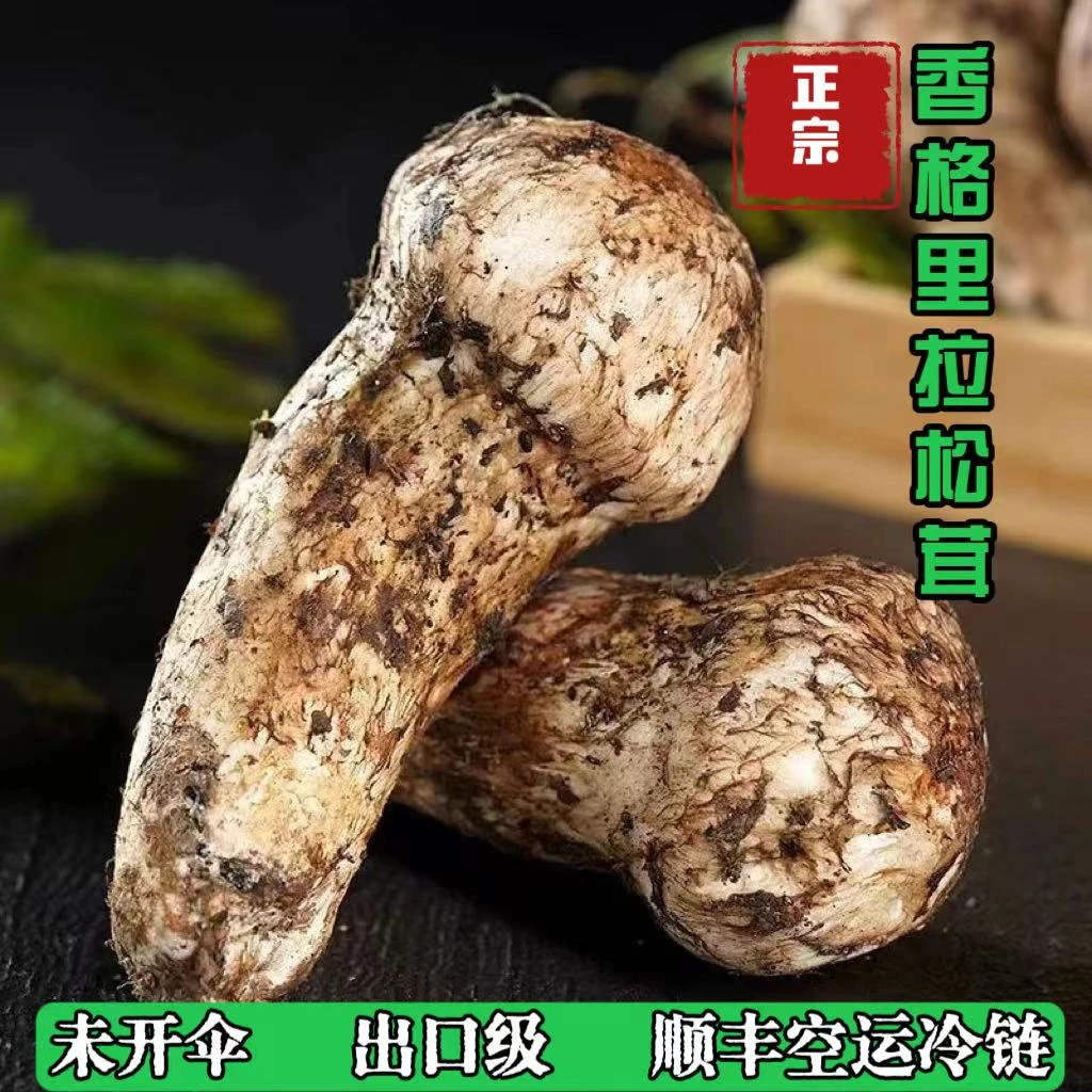 【急速发货】正宗香格里拉新鲜松茸 顺丰空运冷链直发产地美味深山