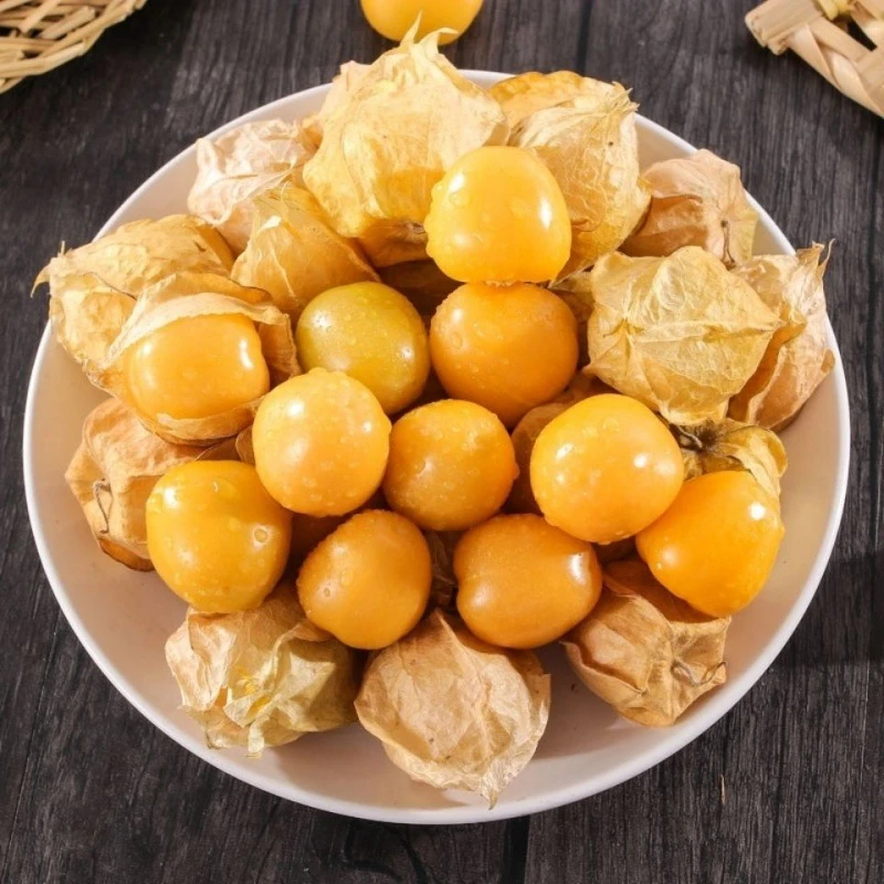 【坏果包赔】姑娘果0.5-5斤新鲜水果洋姑娘灯笼果黄姑娘大果甜姑娘