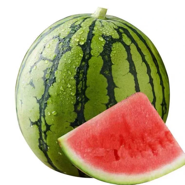 【坏果包赔】正宗当季水果新鲜8424麒麟西瓜无籽皮薄2-9斤现摘
