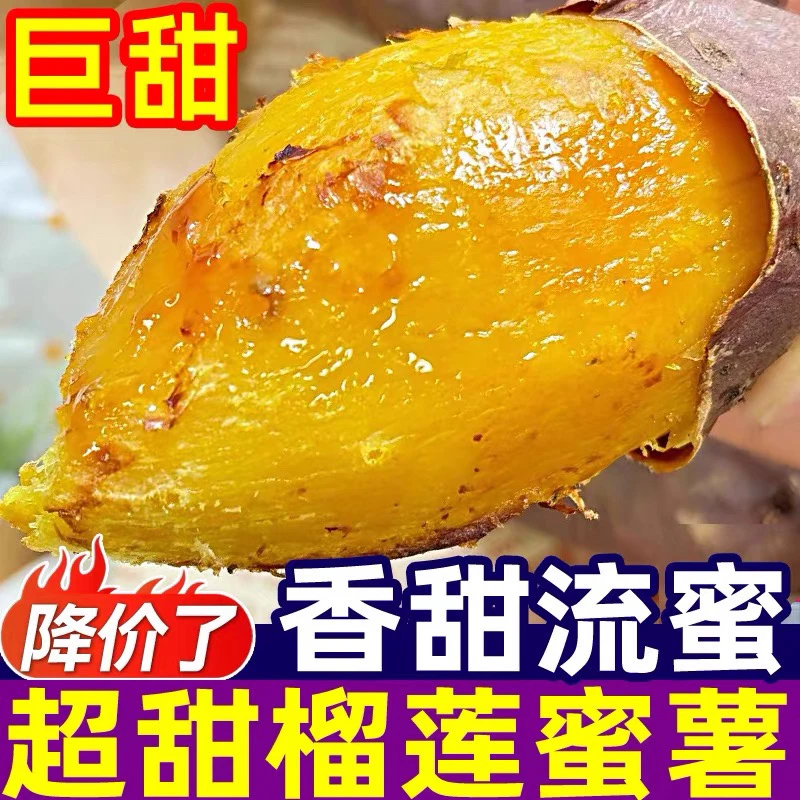 【榴莲蜜薯】高端红薯软糯香甜糖心番薯新鲜黄心超甜蜜薯香甜烤红薯