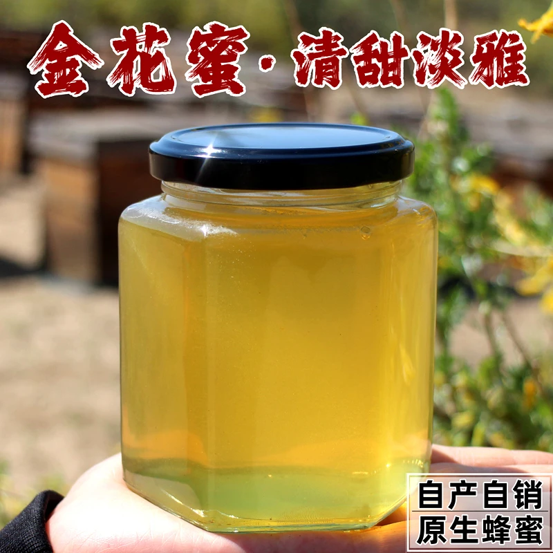 （小清新）金雀花蜂蜜内蒙古独有原生蜂蜜自产自销野生植物蜜源