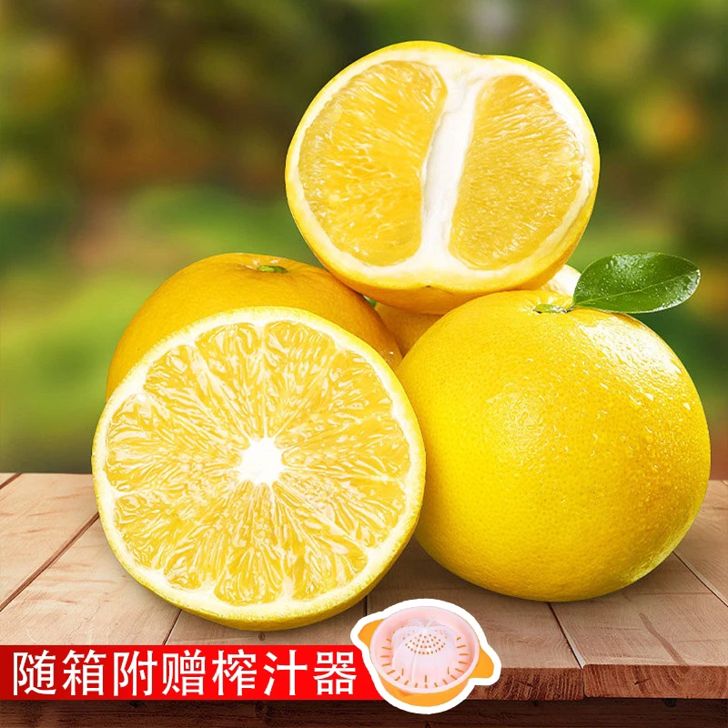福建黄金葡萄柚4.5-5斤新鲜水果黄肉当季香甜柚子多仓发货