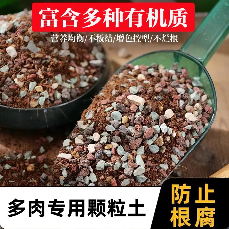 多肉土专用颗粒营养土植物泥炭种植土铺面石叶插纯疏松透气颗粒土