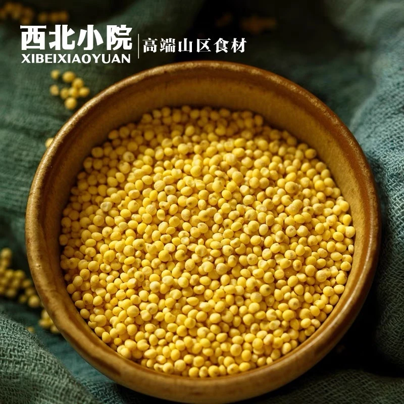 糯大黄米｜陕北农家大黄米黍米黏米2袋起