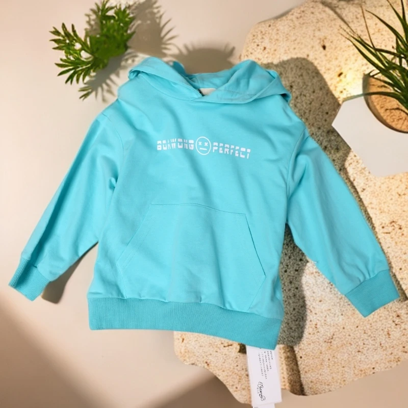 A3-231宝儿童春秋百搭休闲卫衣(2211033)