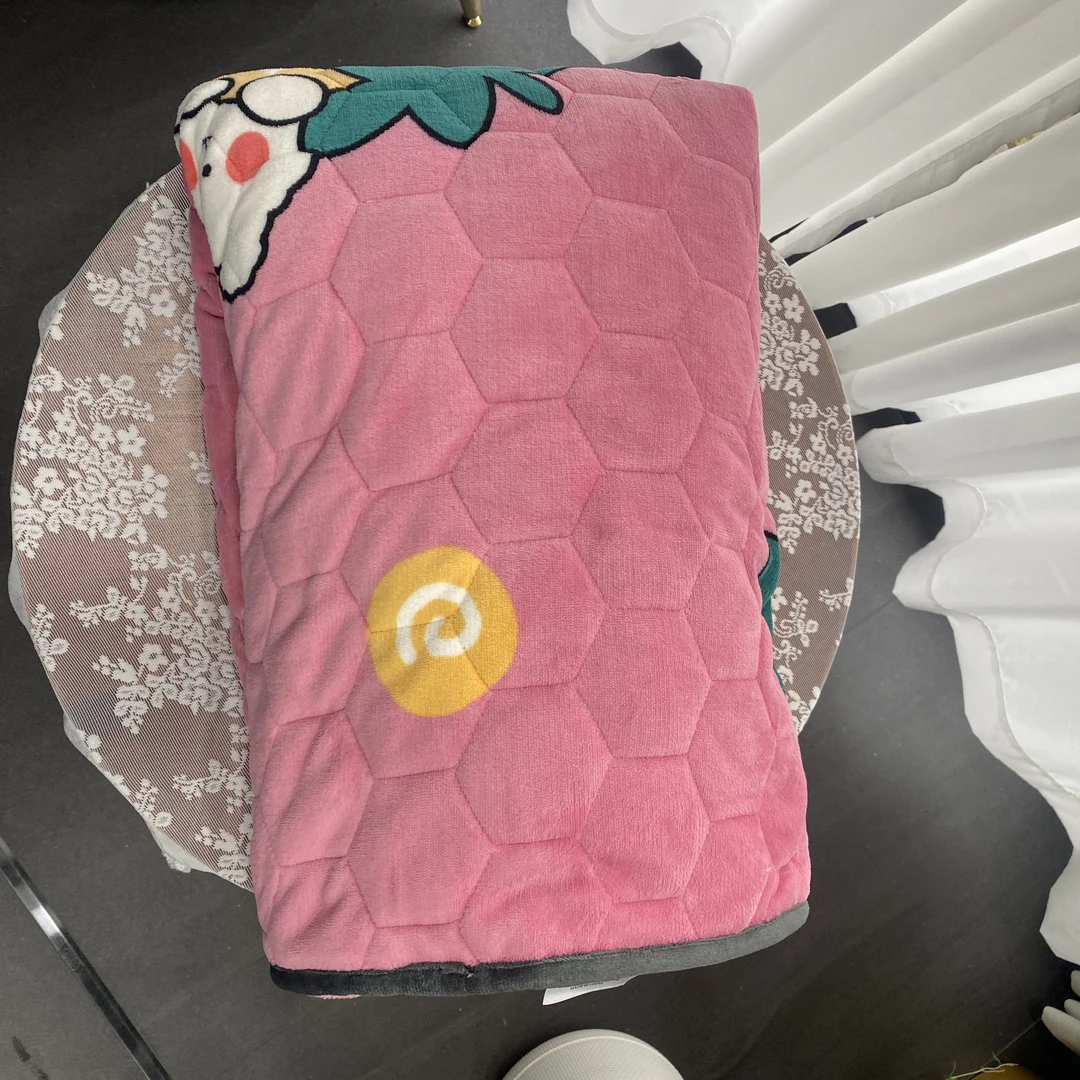 孤品就一件-----粉色小花绒单床笠   F003