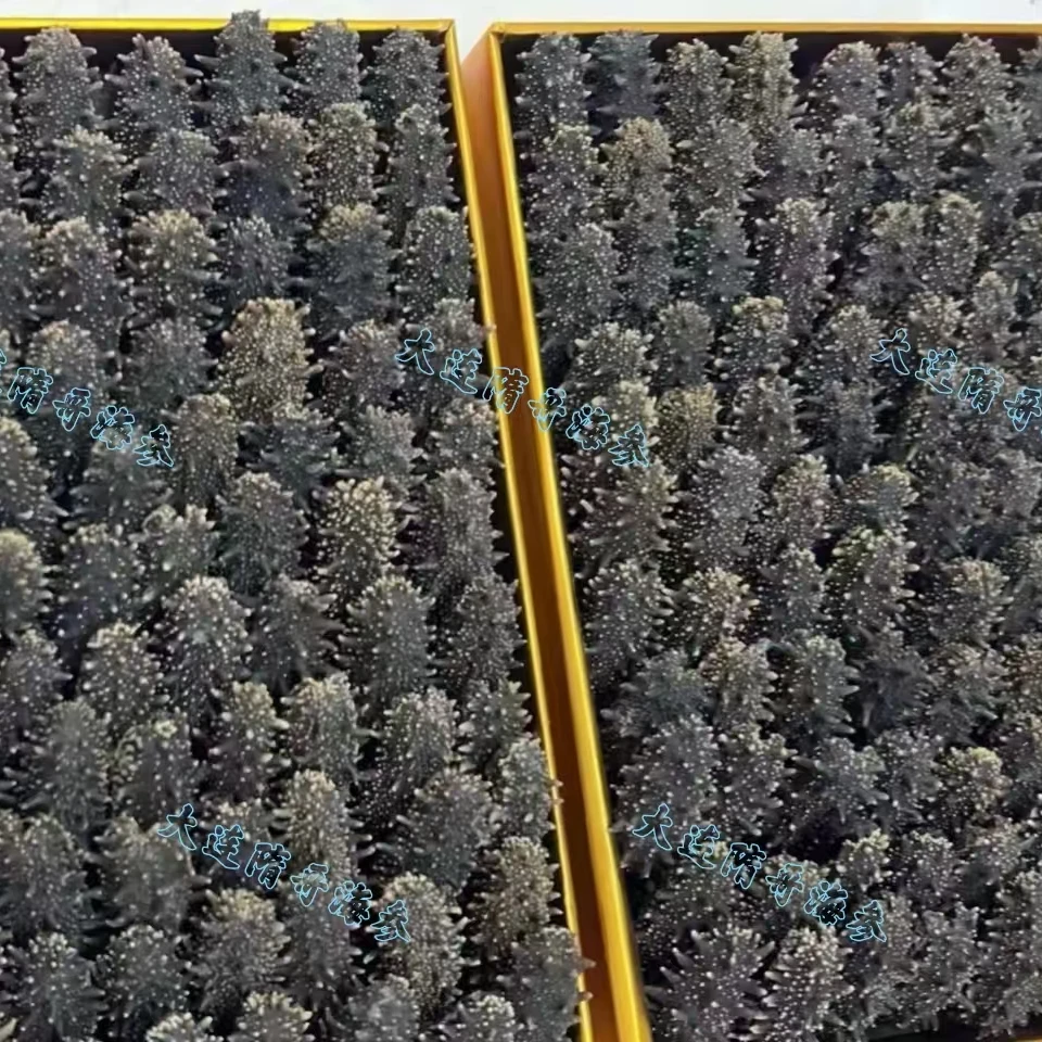 【隋哥精选】国标一级干海参250g/500g，泡发率14-16倍深海底播海参