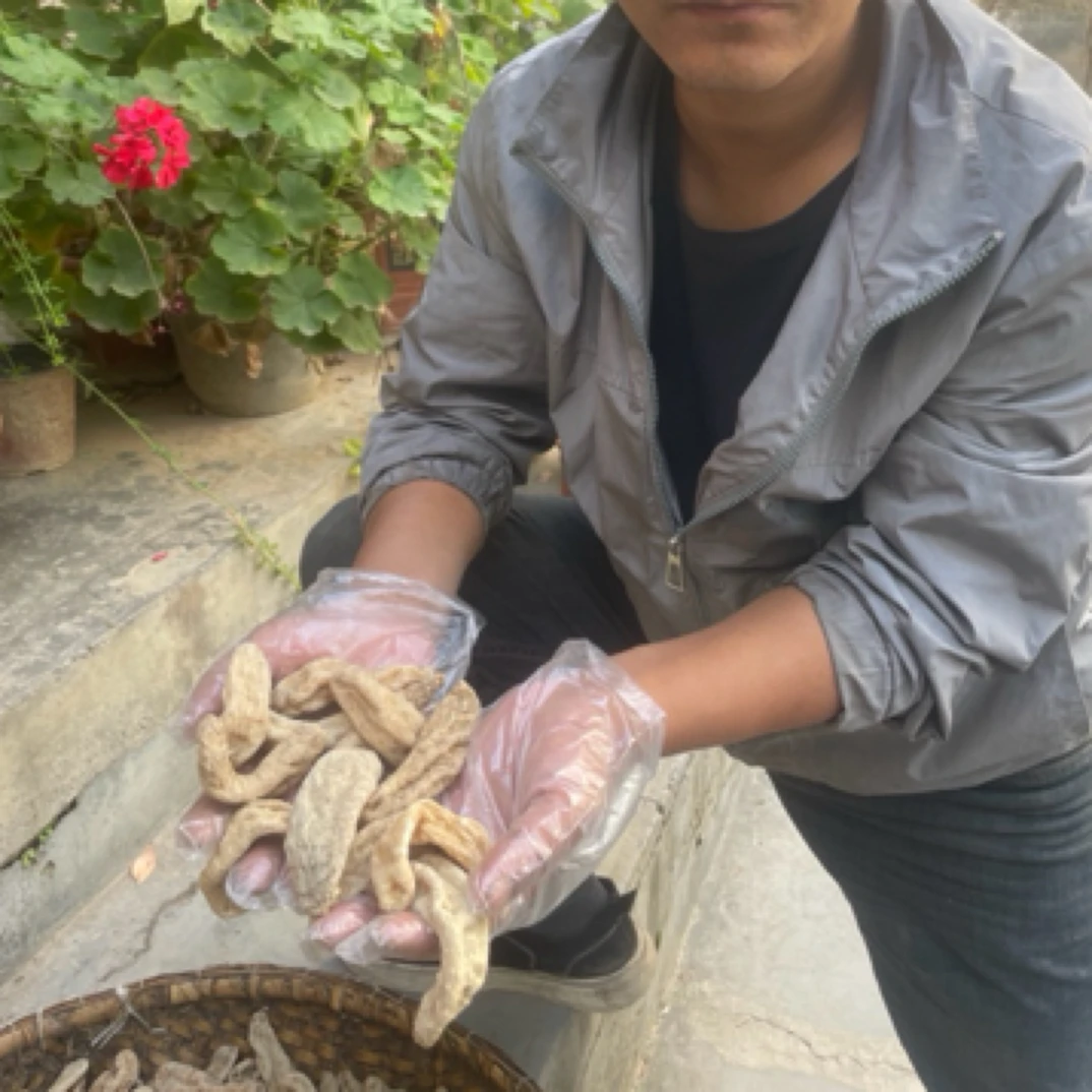 甘肃天麻无硫煲汤正品干货天麻切片打磨粉个子原材料天麻片乌