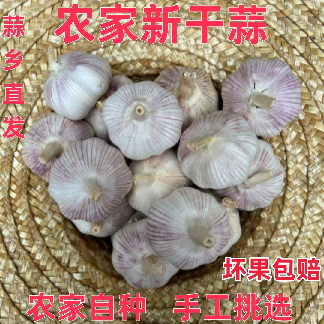 【农家新干蒜】5斤紫白皮新九层干大蒜大蒜头大蒜头蔬菜1斤3斤9斤