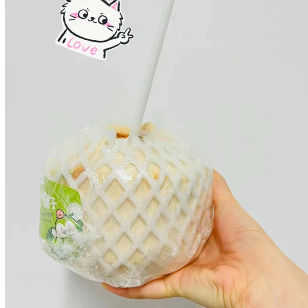 普通椰子（1个装）