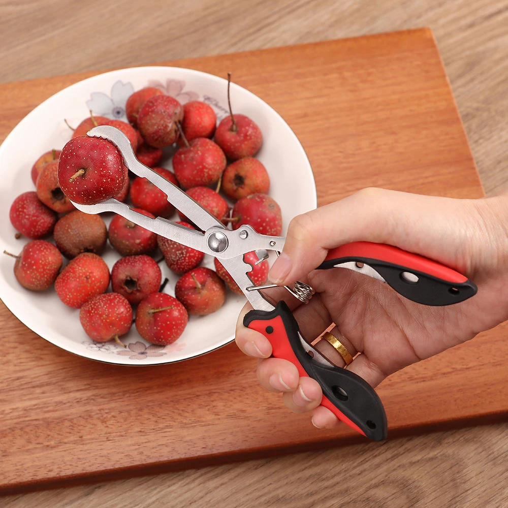 王厨子不锈钢山楂去核器开口器糖葫芦取核器榛子多功能家用神器