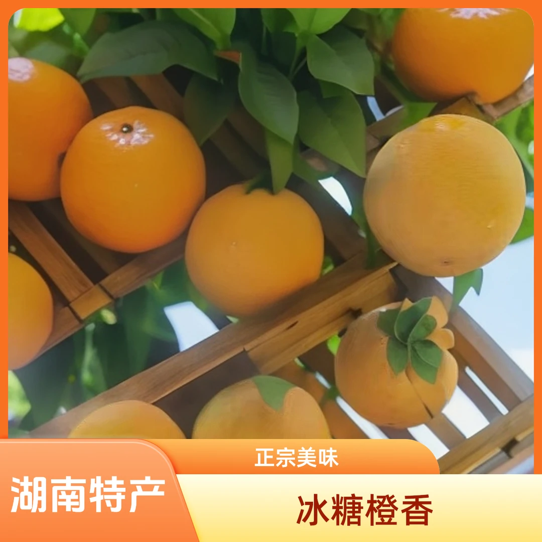 冰糖橙湖南正宗永兴冰糖橙5赠1
