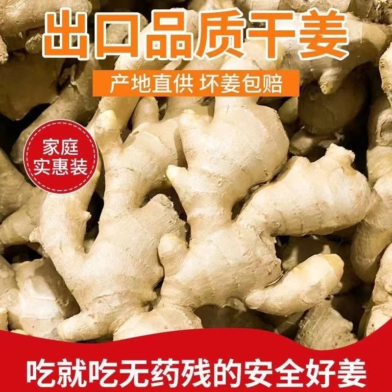 山东大姜水洗风干生姜老姜月子姜出口品质3斤/5斤装