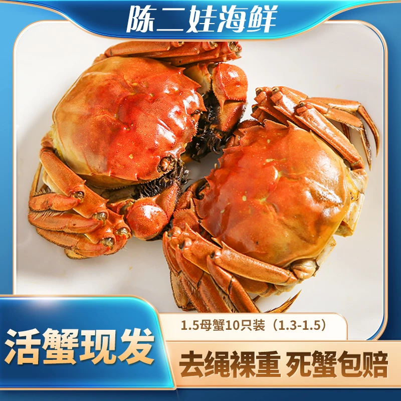 (鲜活普蟹1.8两)江苏大闸蟹母蟹6只装 (1.4-1.6)河蟹