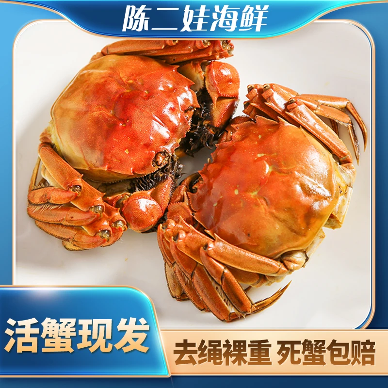 （鲜活套餐）2.5母蟹6只装（2.3-2.5）